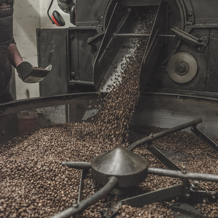 Dark roast coffee in the Thomson's roaster