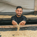 Guarapo Decaf