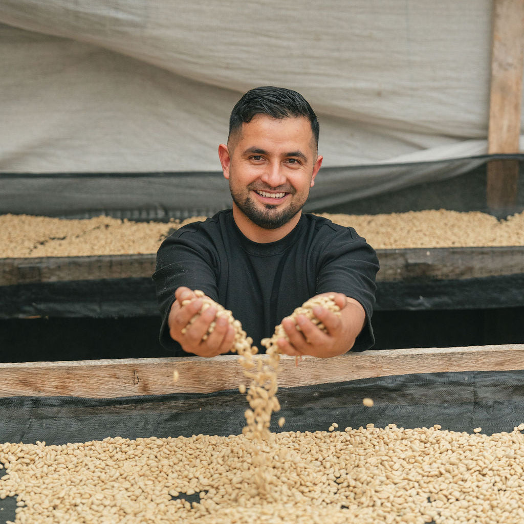 Guarapo Decaf