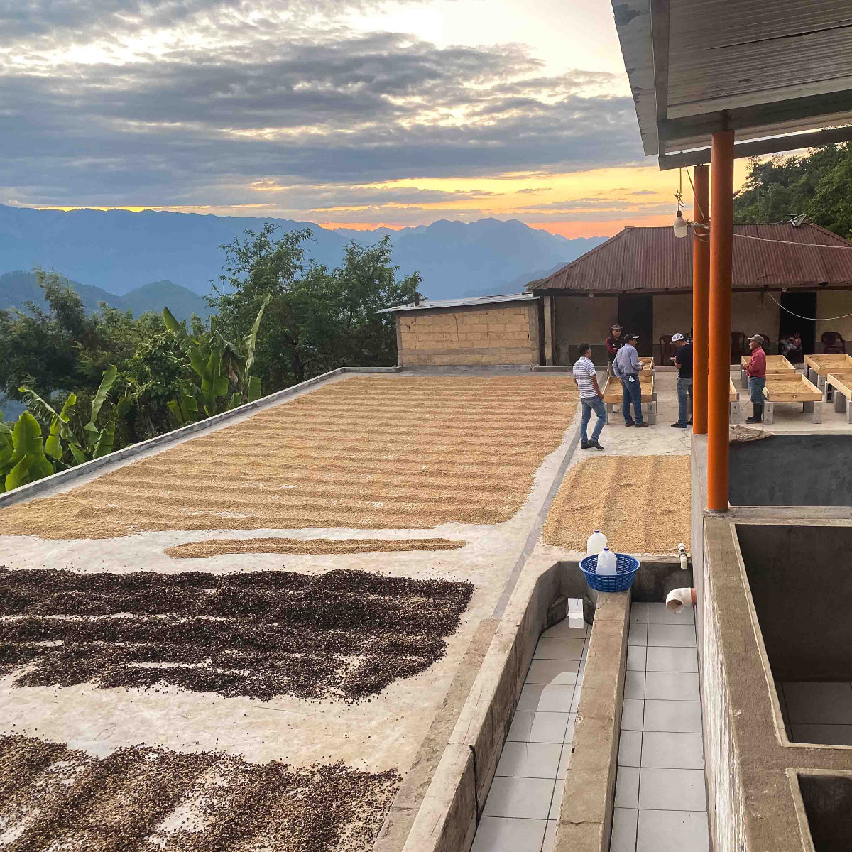 Drying patio and beds at El Aguacate.