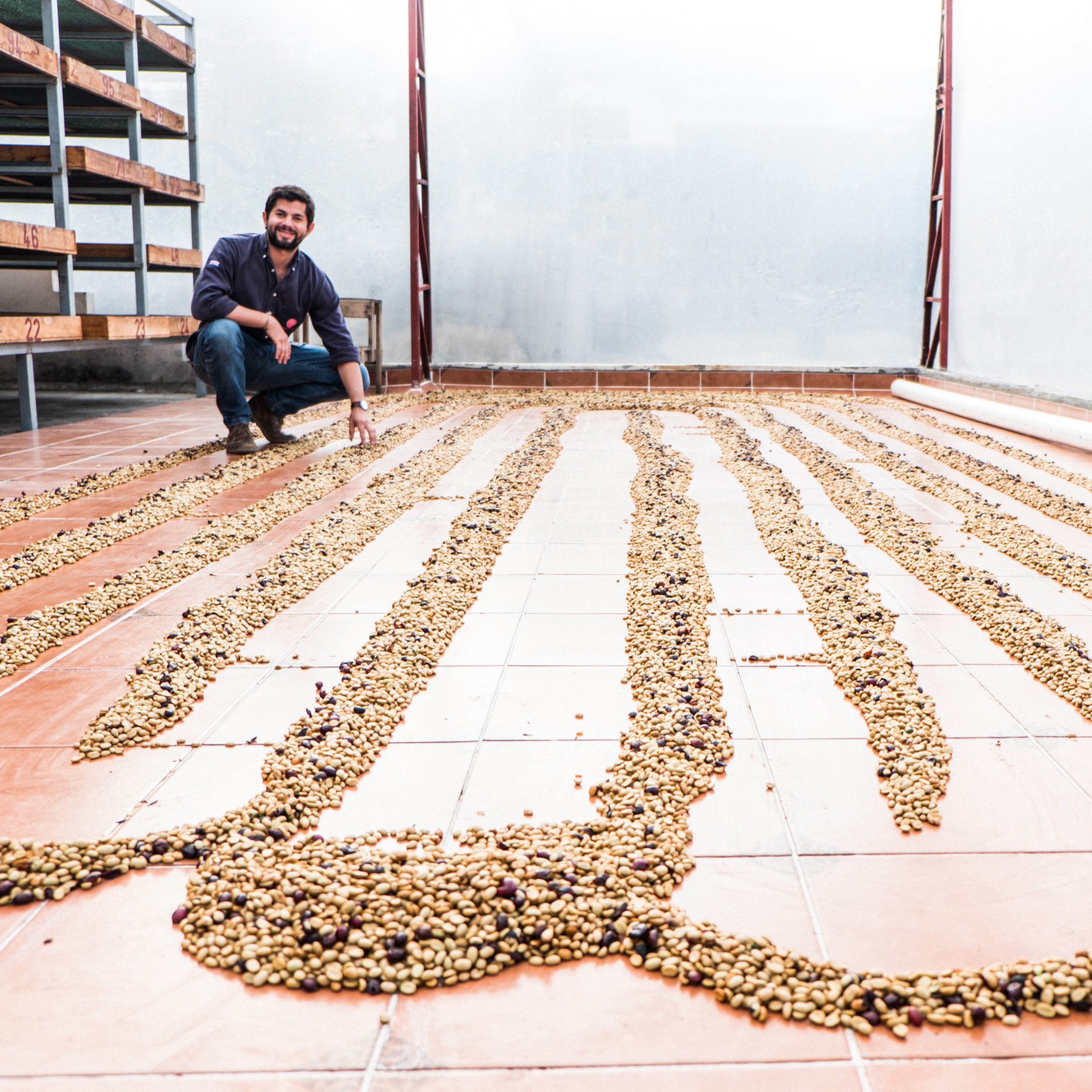 Diego Robelo at Aquiares Estate.