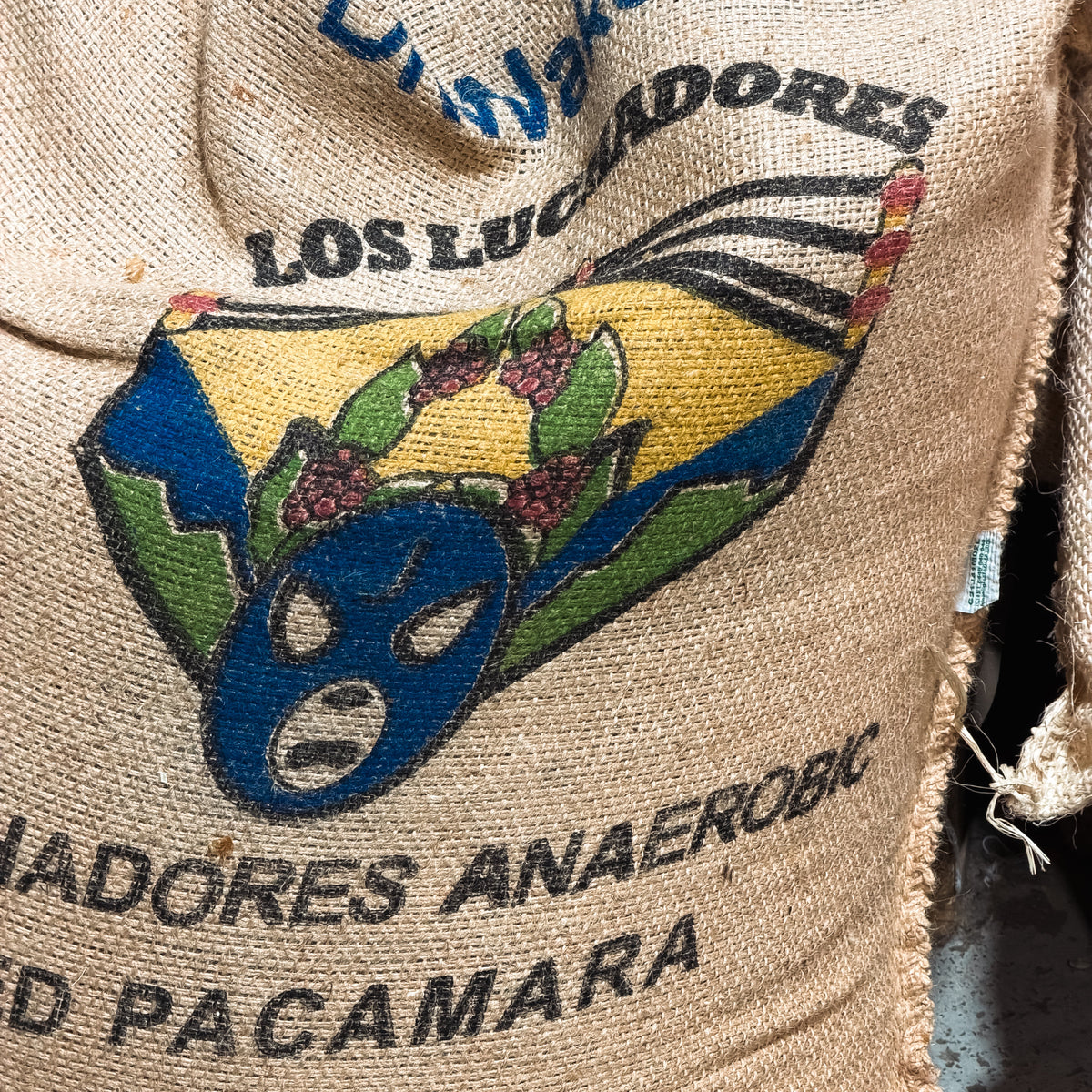 Los Luchadores