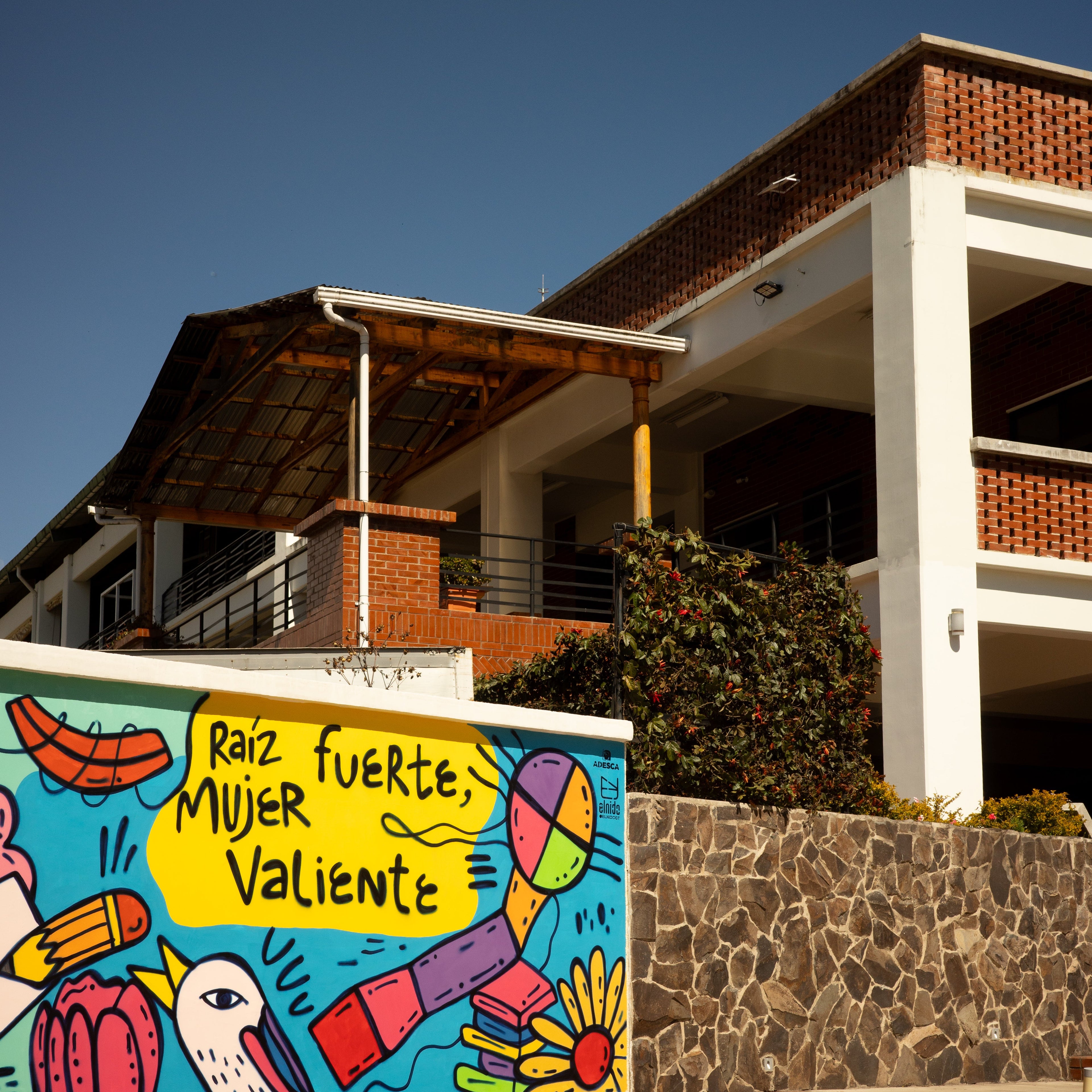 El Colegio