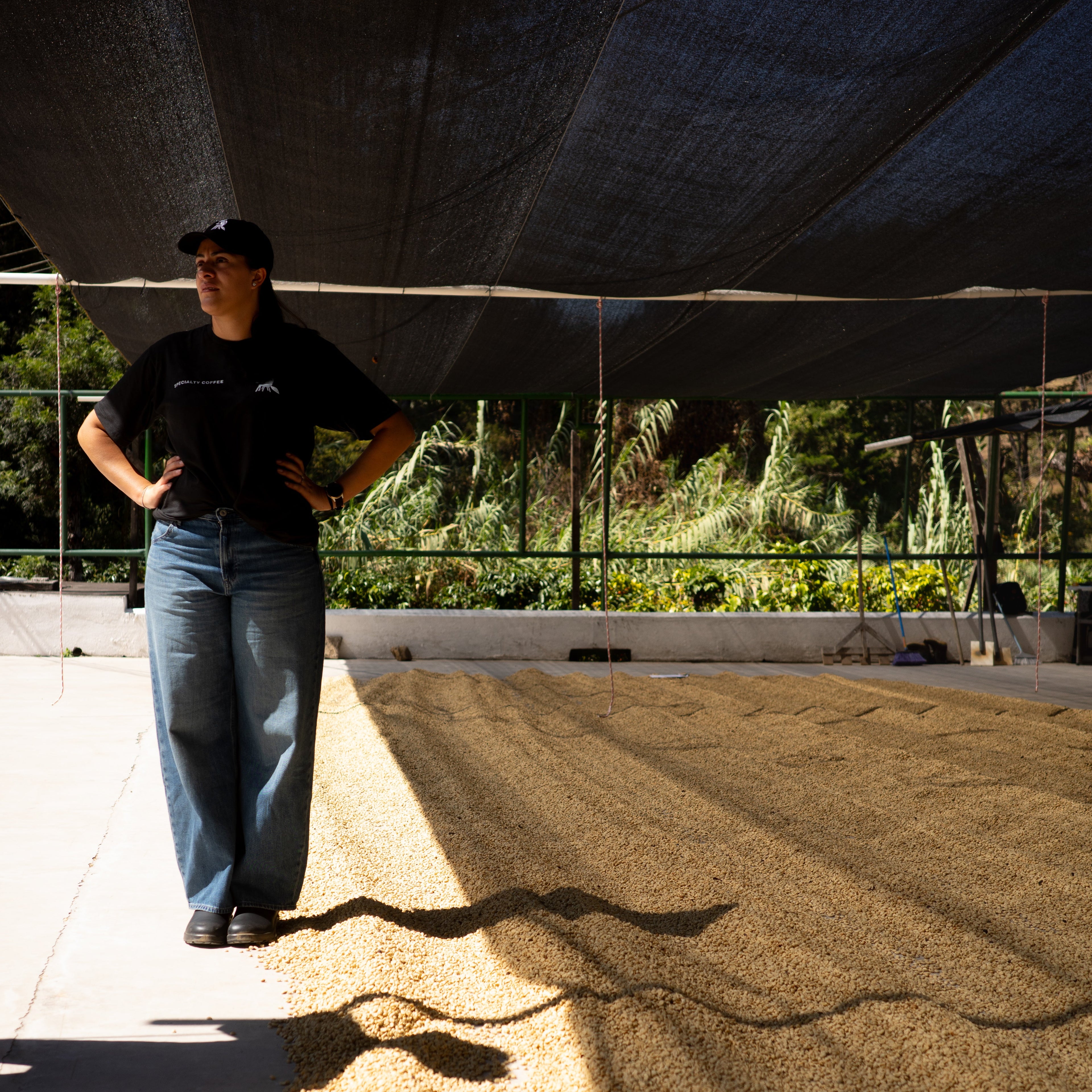 The Fermentation Project