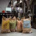 The Fermentation Project