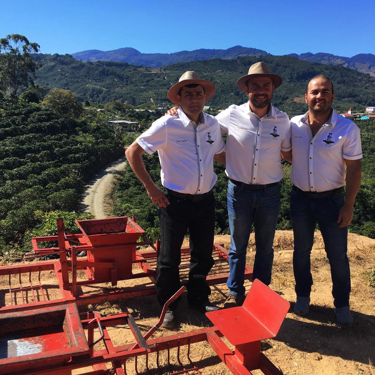 The three brothers, Jose Luis, Carlos, and Eduardo Navarro at Finca San Cristobal Norte.