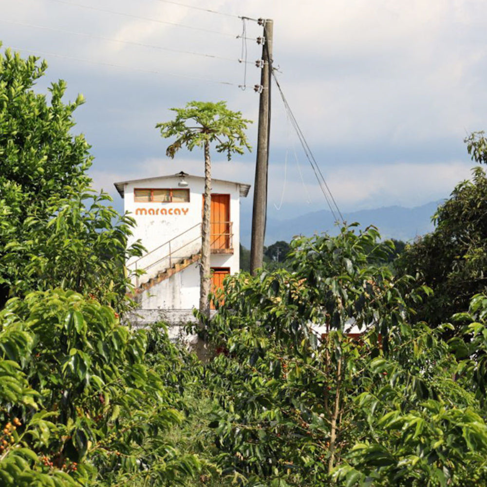A building on the Maracay farm in Colombia.