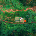 Vunga
