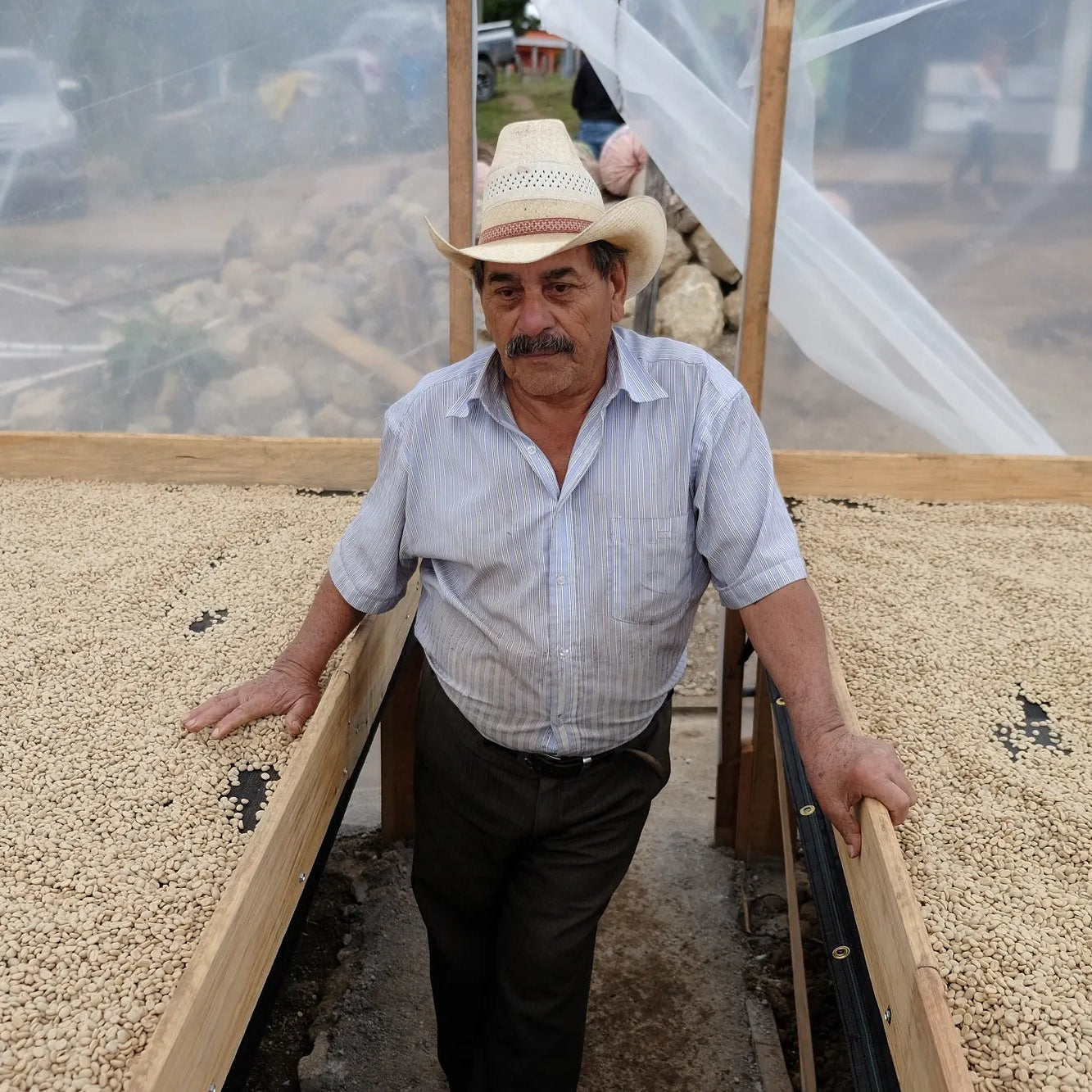 Pedro Moreno