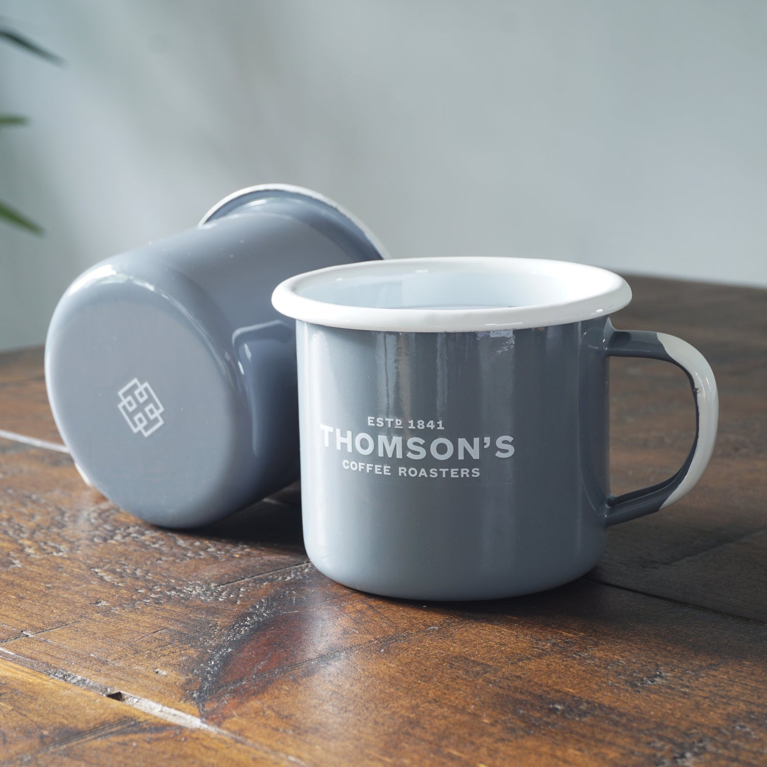 Thomson's Enamel Mug